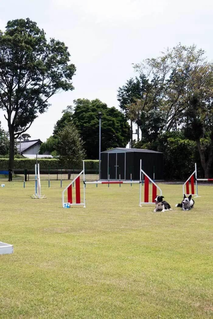 物置,おしゃれ,