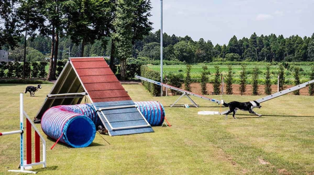 物置,おしゃれ,