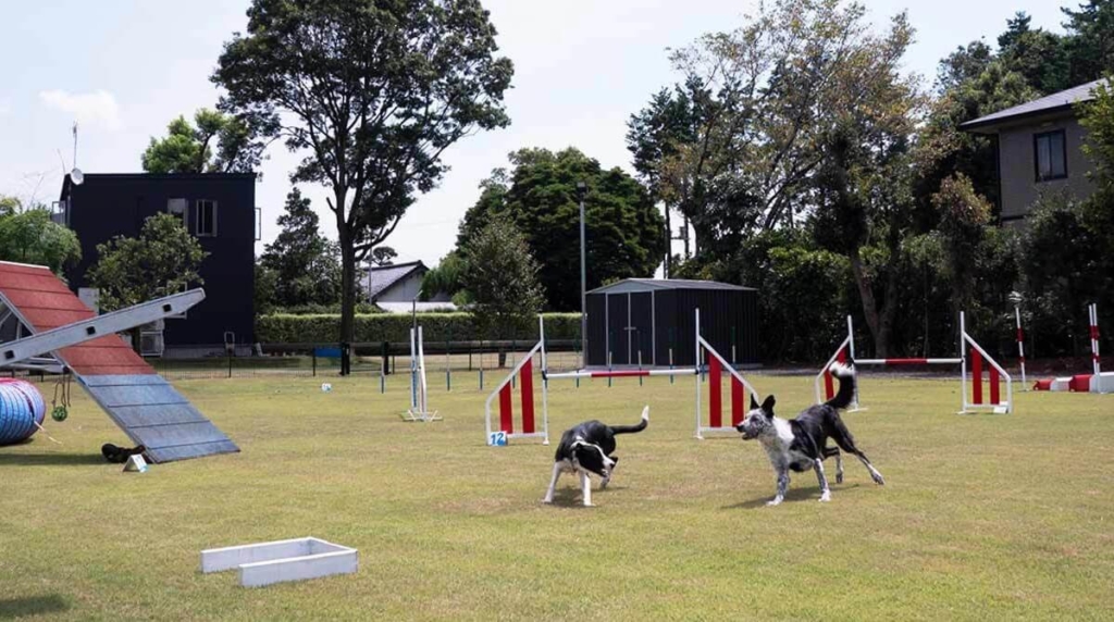 物置,おしゃれ,