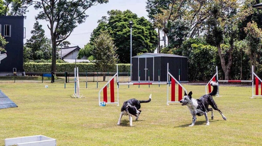 物置,おしゃれ,