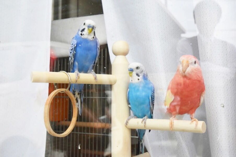 物置,おしゃれ,