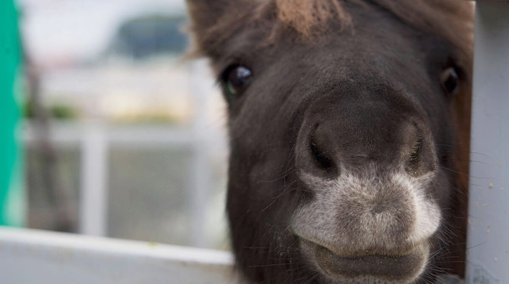 物置,取材,保育園,