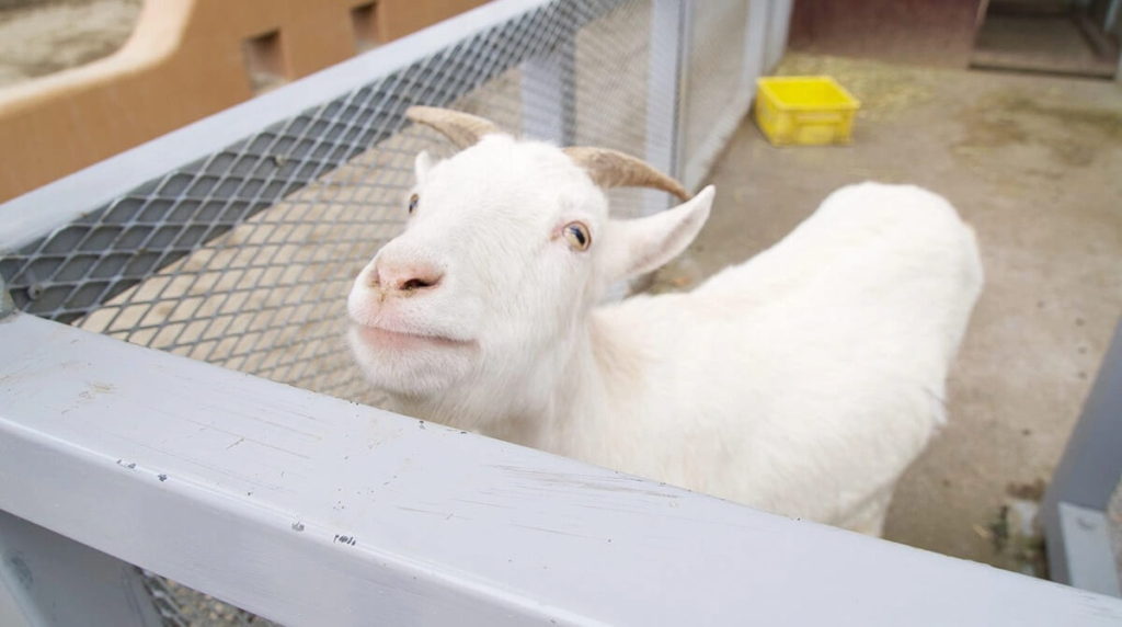 物置,取材,保育園,