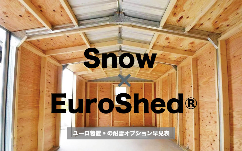 迷わない！耐雪オプションの早わかりガイド